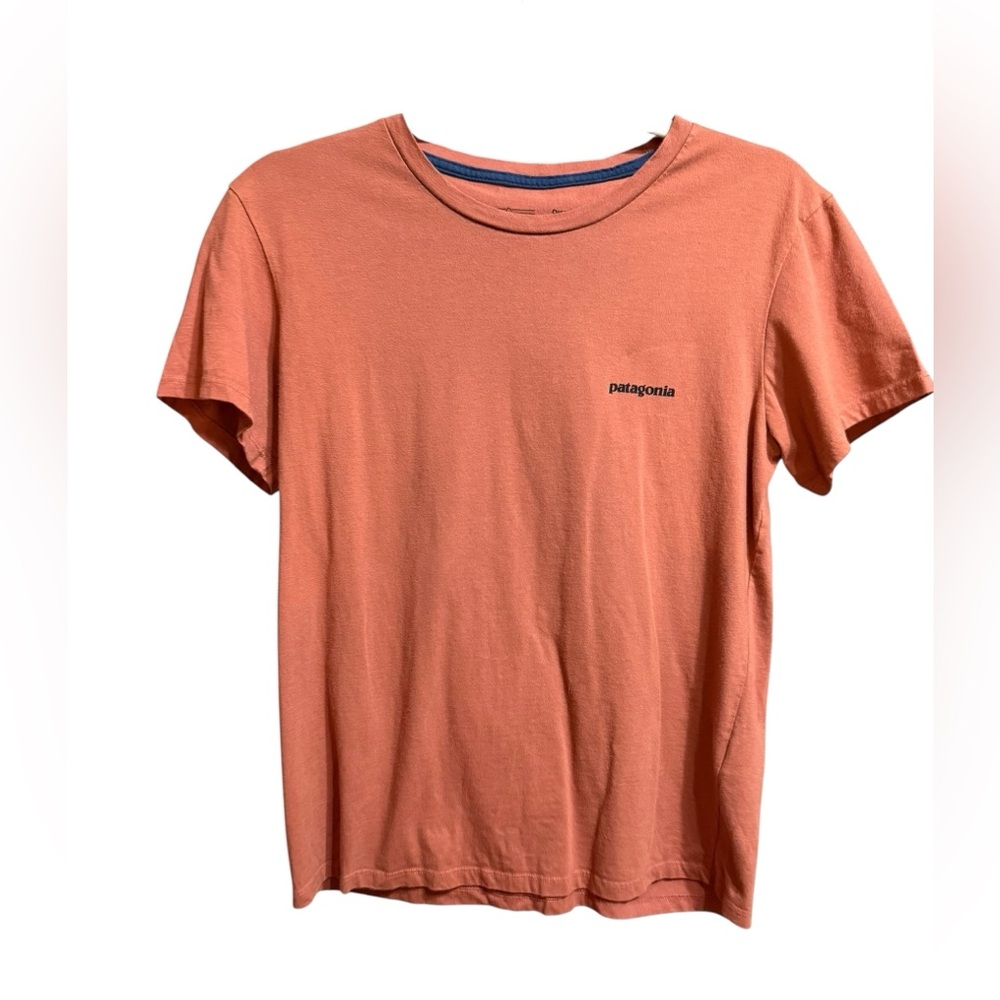 Patagonia Men’s Short Sleeve Tee in Rust Sz Small “Save Our Home Planet” Graphic